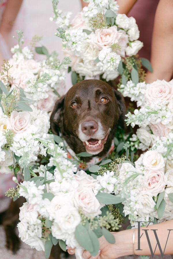 Blush Blooms Wedding Luxmore Grande Estate Orlando Wedding Planner Anna Christine Events