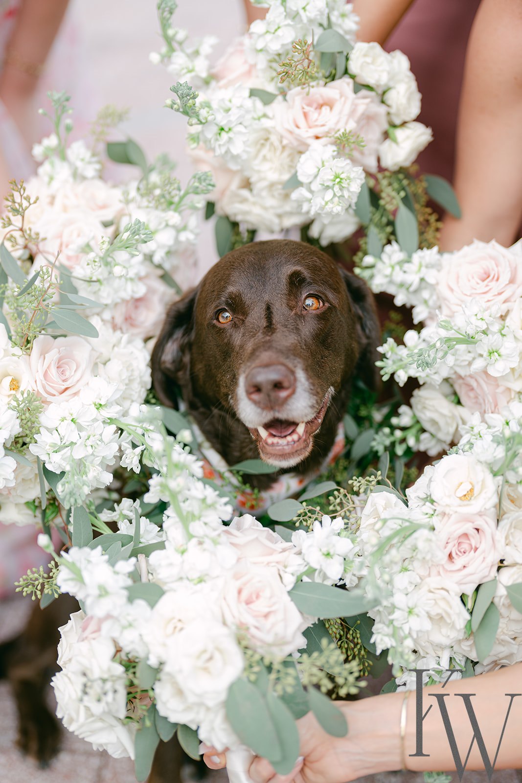 Blush Blooms Wedding Luxmore Grande Estate Orlando Wedding Planner Anna Christine Events
