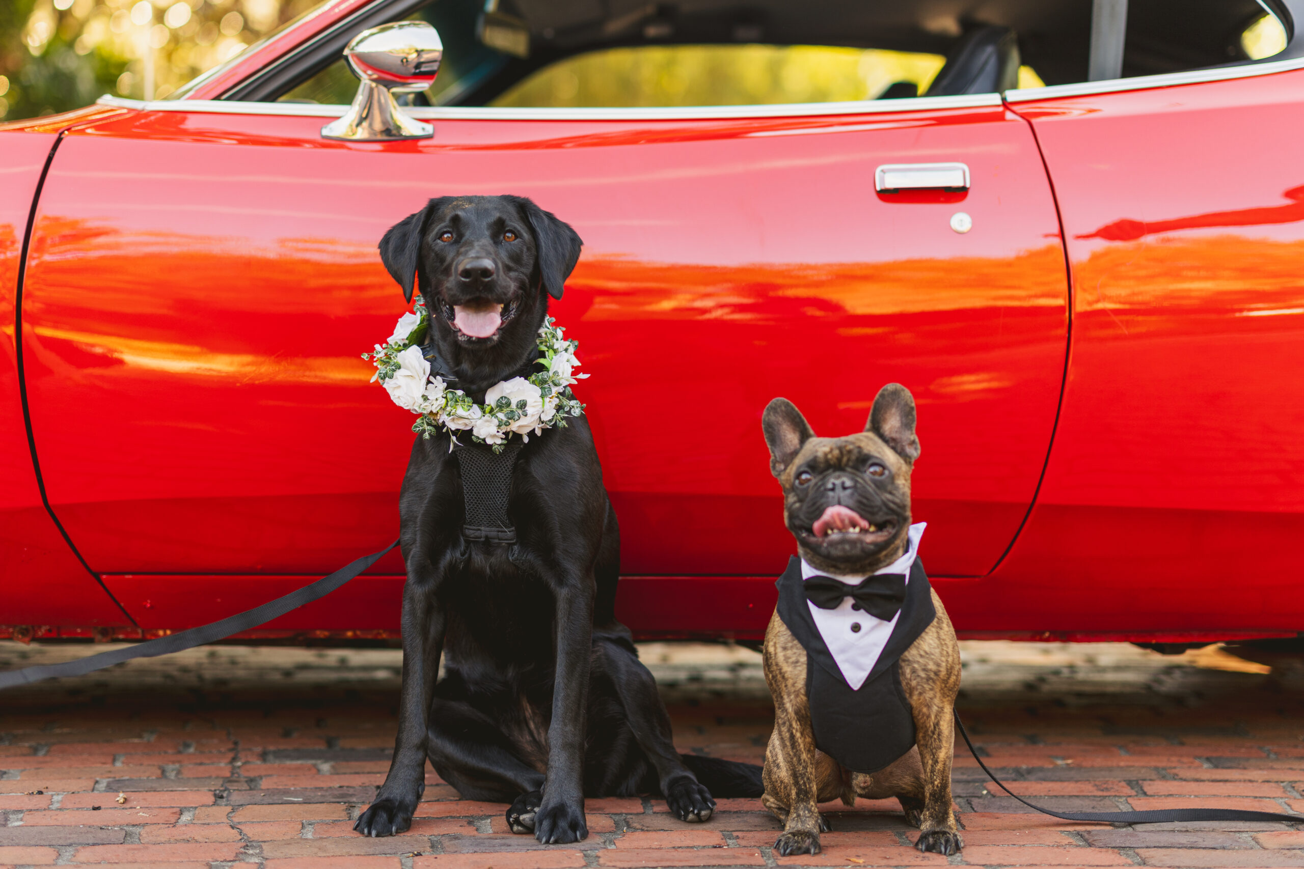 Bright Floral Outdoor Wedding Cypress Grove Estate House Orlando Wedding Planner Anna Christine Events